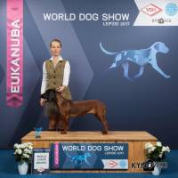 world junior winner worlddogshow bgs