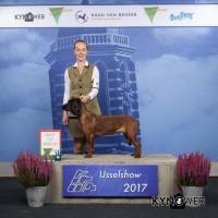 Dogshow Zwolle IJsselshow Best of breed BOG